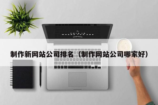 制作新网站公司排名(制作网站公司哪家好)